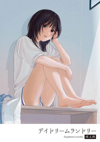 Daydream Laundry cover