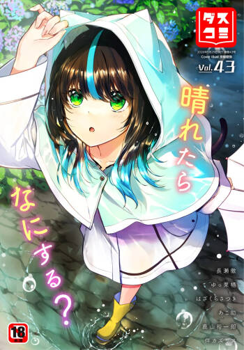 Dascomi Vol.43 cover