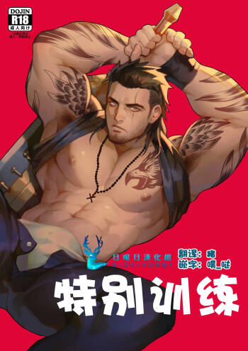 特别训练 cover