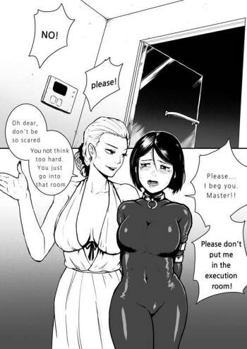 execution room cover