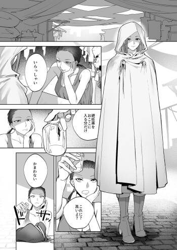 護衛女騎士と王子の関係3 cover