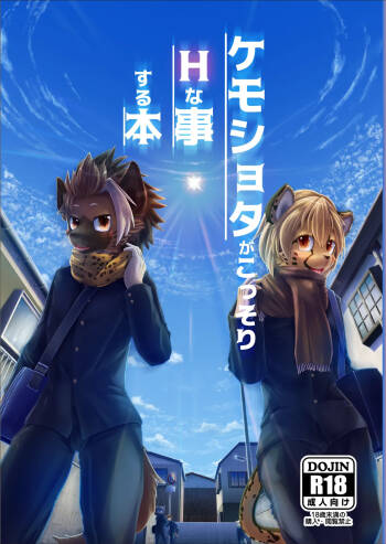 Kemoket 7 cover