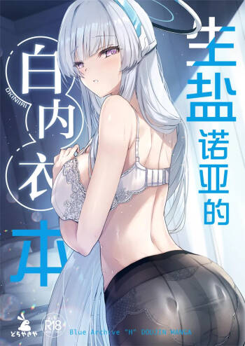 Noa-chan no Shiro Shitagi Hon | 生盐诺亚的白内衣本 cover