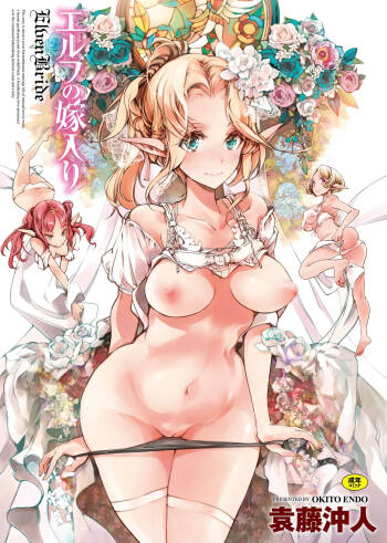 Elf no Yomeiri cover