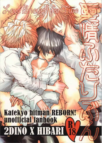 Katekyo Hitman Reborn! dj – Aijou Futaribun cover