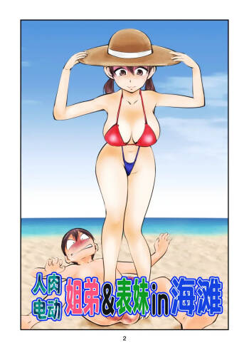 Denma Shitei & Juumai in Beach | 人肉电动姐弟&表妹in海滩 cover
