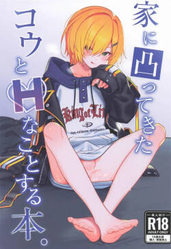 Ie ni Totte Kita Kou to Ecchi na Koto Suru Hon.  Chinese TR （ai翻譯）