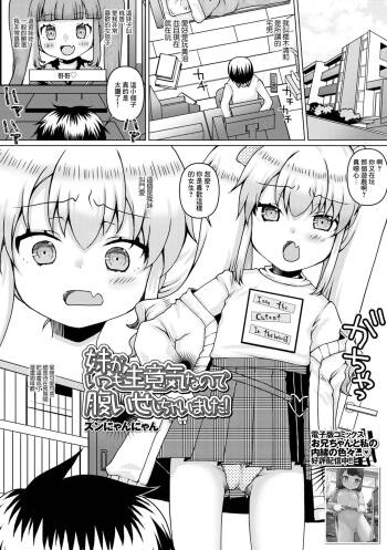 妹がいつも生意気なので腹いせしちゃいました! cover