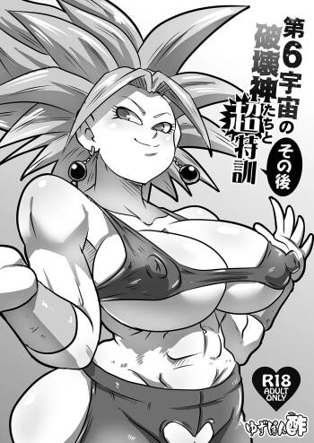 Dai 6 Uchuu no Hakaishin-tachi to Chou Tokkun Sonogo | Super Special Training with the Sixth Universe's Hakaishin and Company Aftermath cover