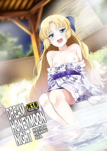 Dream Honeymoon Night cover