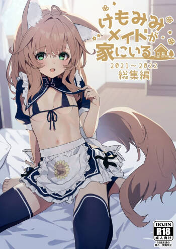 けもみみメイドが家にいる総集編1冊目 cover