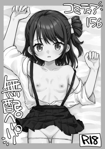 Comitia 156 no Muhai Paper cover