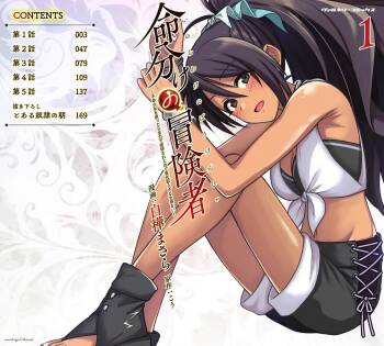 Inochiwake no Boukensha ~Fukou Shoujo o Sukuttara Zenryoku de Suuhai Sareta node Sekinin Torazaru o Enai~ Ch. 1-8 cover