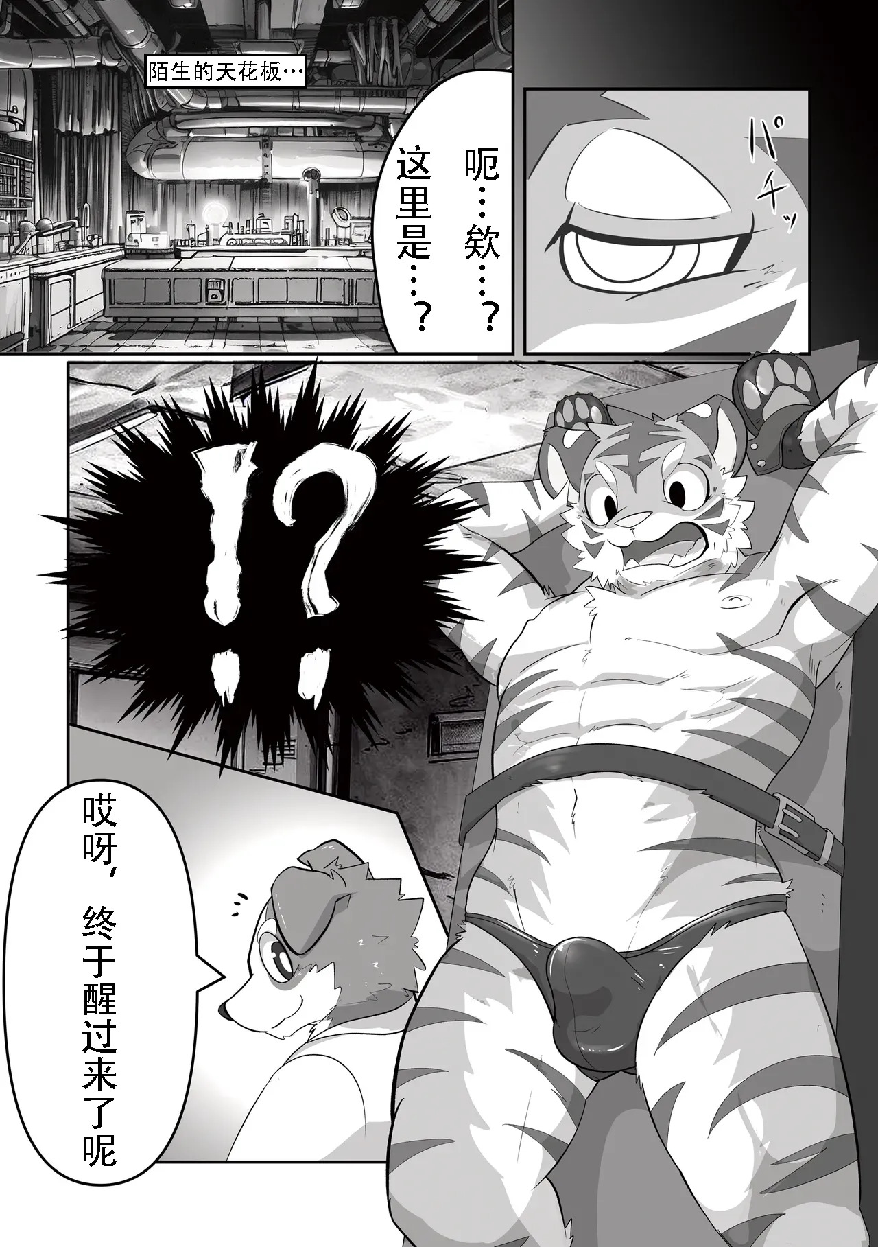 接下来这只老虎要被榨汁了。 金卡个人汉化 page 3 full