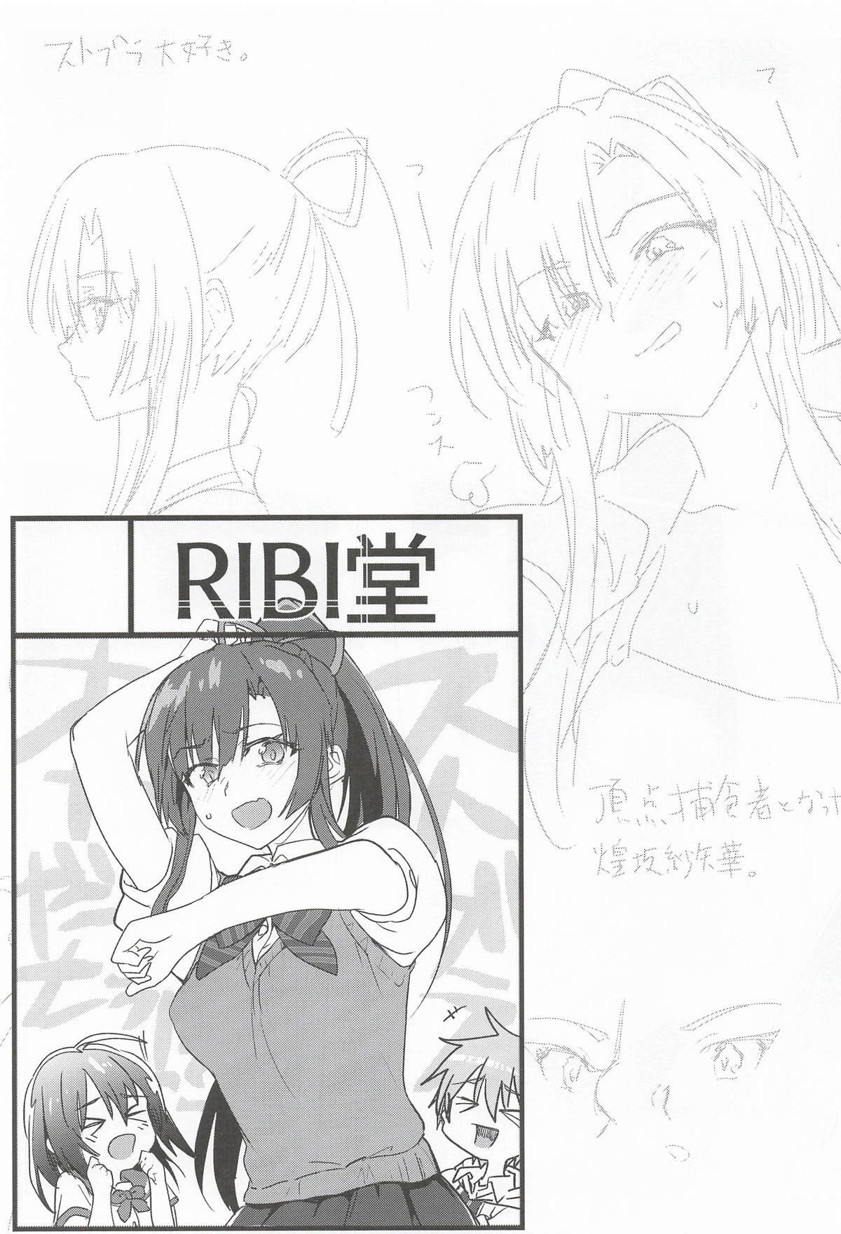 STBL-HBOOK page 2 full
