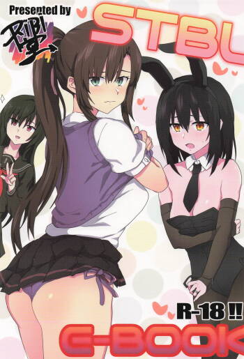 STBL-HBOOK cover