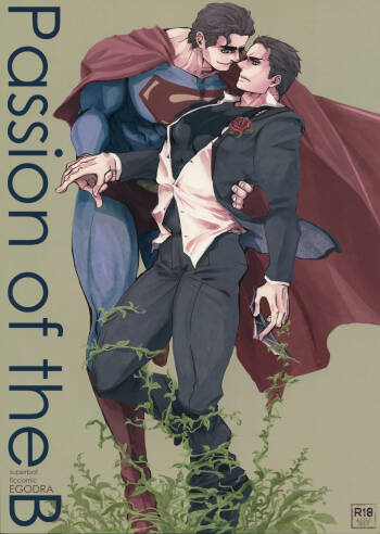Passion of the B cover