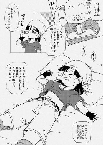 Suiminyaku Juice Pan-chan cover
