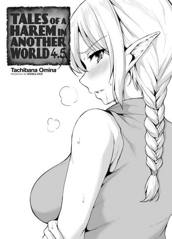 Tales of a Harem in Another World - Volume 4.5 cover