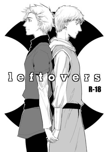 leftovers cover