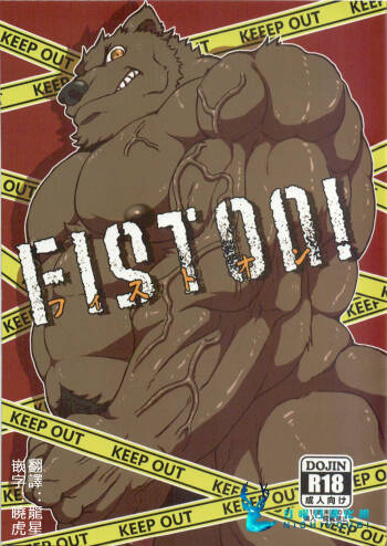 FIST ON! cover