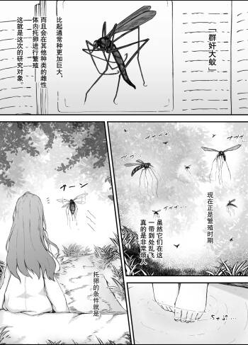 Shunin×Crane fly cover