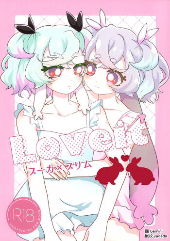 Loveit Puca x Preme cover