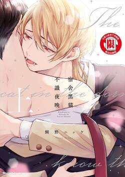 Kishukusha no Kuroneko wa Yoru wo Shiranai︱宿舍黑猫不识夜晚