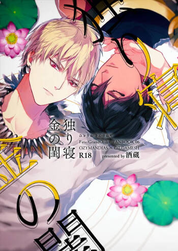 Hitotsu ne Kirameki no shiro | Ozymandias x Gilgamesh | 金闺独梦 | mkk个人汉化 cover