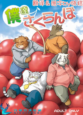 我们是樱桃 cover