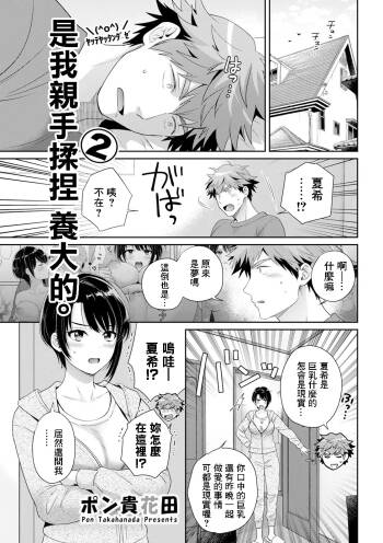 俺が揉んで育てました2 cover