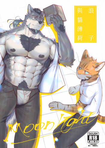 浪子与猫薄荷 cover