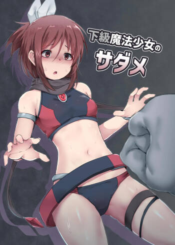 The Fate of a Low Level Magic Heroine cover