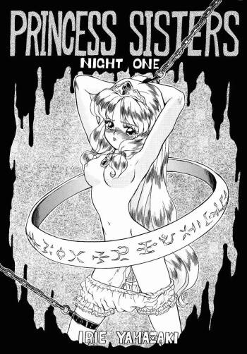 PRINCESS SISTERS NIGHT ONE cover