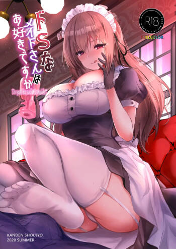 Do-S Maid – Do You Like Her? cover