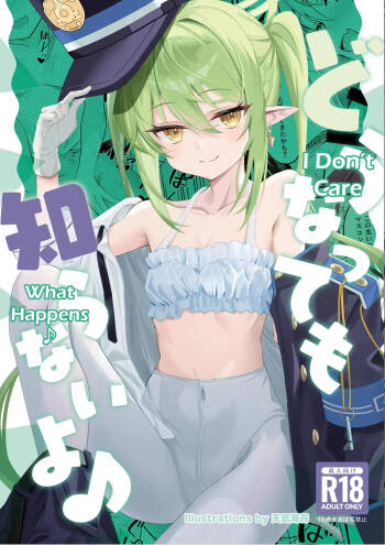 Dounattemo Shiranai yo ♪ | I Don't Care What Happens ♪ cover