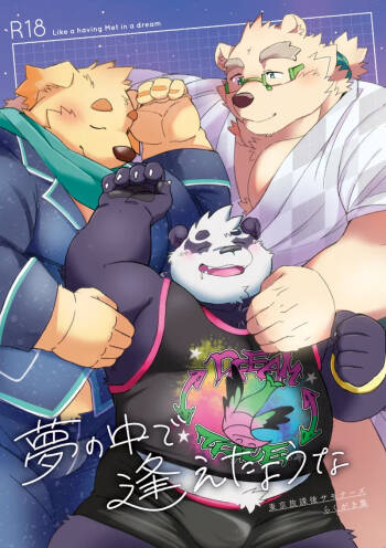 夢の中で逢えたような cover