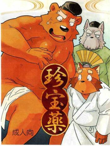 珍宝药 cover
