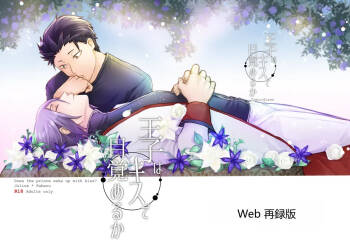 王子会因为吻而醒来吗？ cover