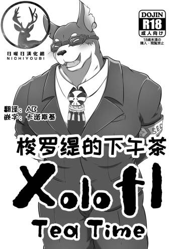 梭罗缇的下午茶 cover