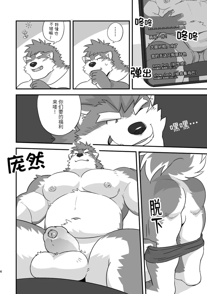 LIVECAMS! page 5 full