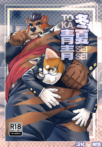 冬夏青青 cover