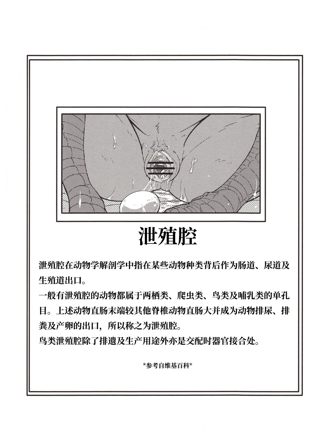 朝鸡+鸡卵 page 3 full