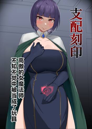 Shihai Kokuin Takabisha na Onna Majutsushi ga Shiranai Aida ni Omocha ni Sareru 1-3 cover