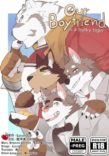 Our Boyfriend is a bulky tiger cover