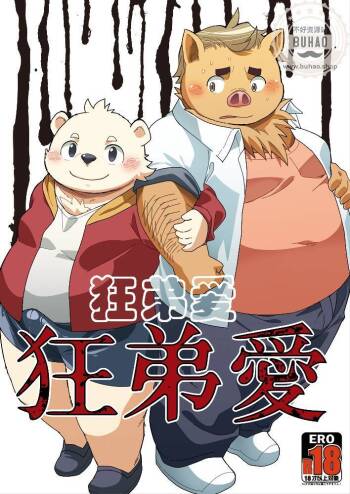 狂弟爱 cover