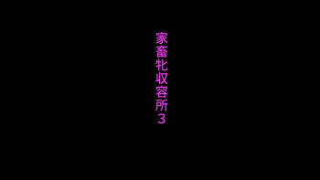家畜牝収容所3 cover