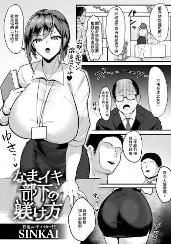 Sinkai_なまイキ部下の躾け方 cover