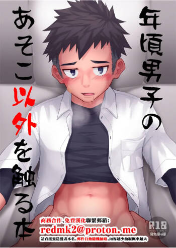 Toshigoro Danshi no asoko igai wo Sawaru hon cover