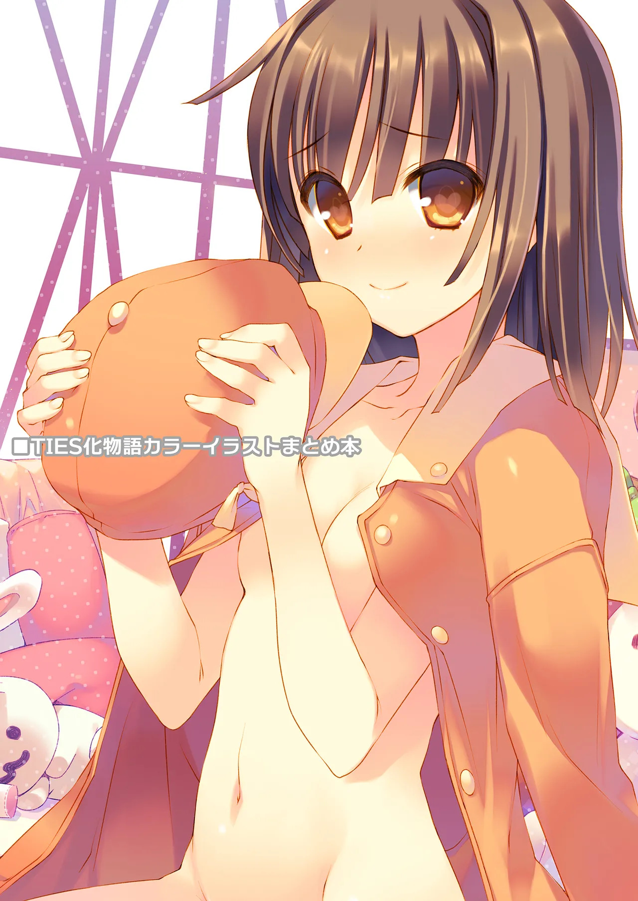 TIES Bakemonogatari Color Illustration Compilation Book page 1 full